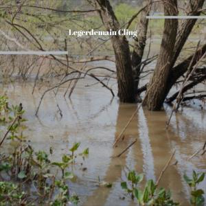 Dengarkan Trace Them lagu dari Edric Lamard dengan lirik