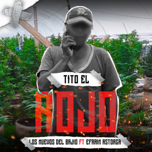 收听Los Nuevos Del Bajio的Tito El Rojo歌词歌曲