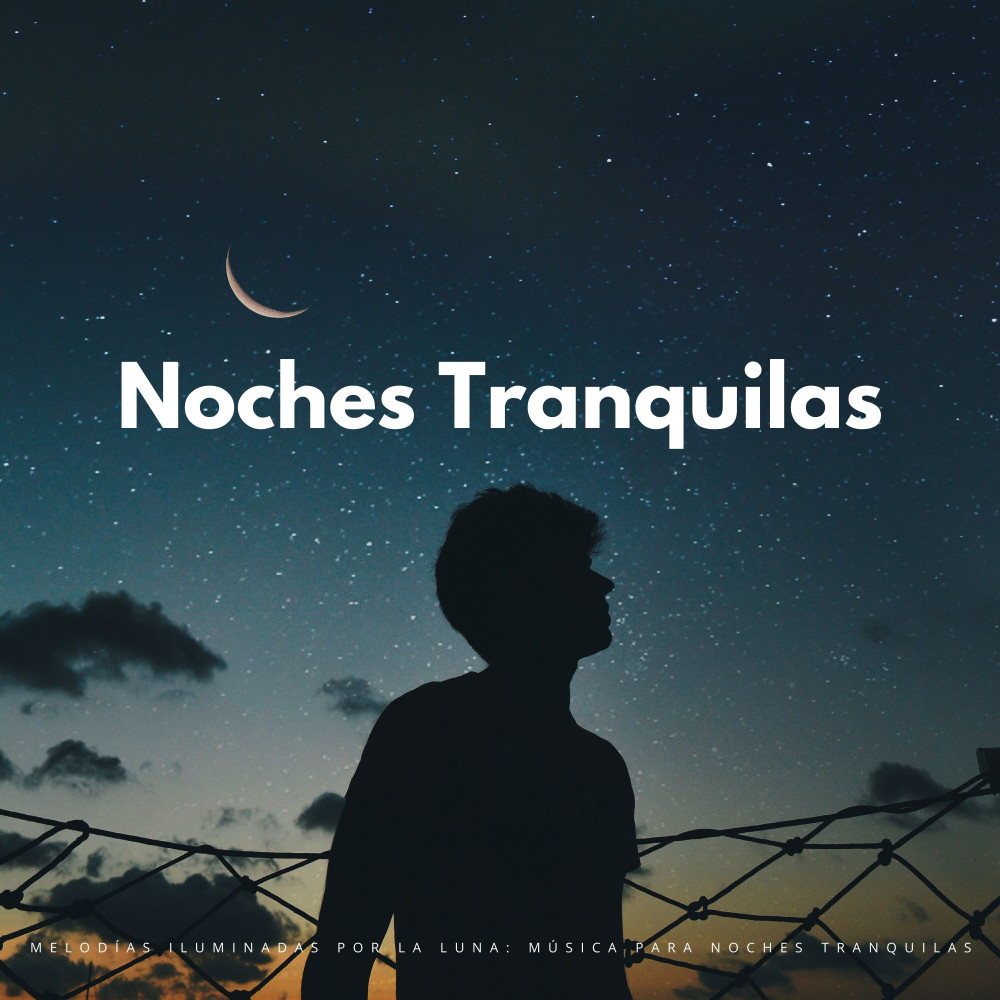 Noche En Armonía