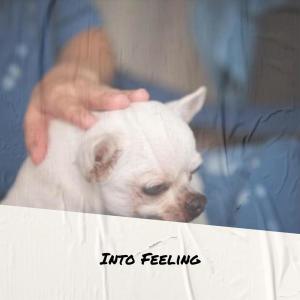 Album Into Feeling from Various