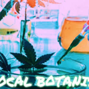Johnny Thrax的專輯LOCAL BOTANIST (feat. Harmayn) (Explicit)