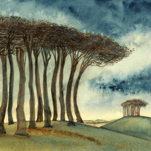 Listen to Beech song with lyrics from Cosmo Sheldrake