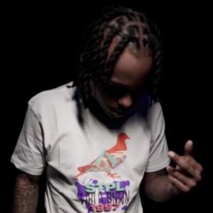 Listen to PressConference (feat. 700Cal) (Explicit) song with lyrics from DJ Spazz