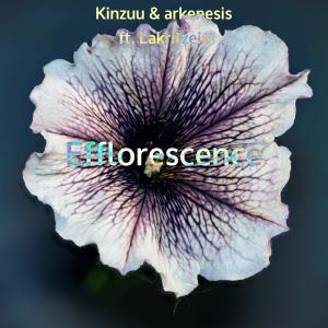 Album Efflorescence (feat. Lakritzeis) from 