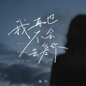 Listen to 我再也不会去爱你 (伴奏) song with lyrics from 湫竹