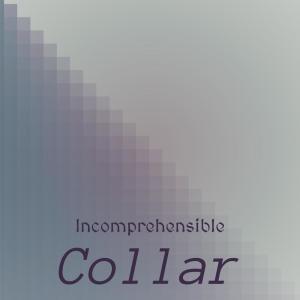 Various的专辑Incomprehensible Collar