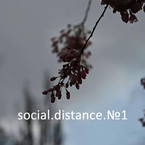 #Raccune的专辑Social Distance No1