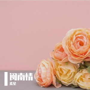 Album 闽南情 from 素星