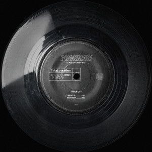 Album La Piazza / What Way from Duckmaw