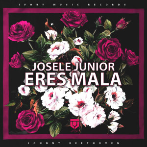 Listen to Eres Mala song with lyrics from Josele Junior