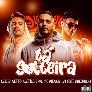 Listen to Tá Solteira (Explicit) song with lyrics from MC Menor WS