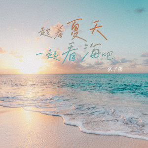 Listen to 趁着夏天一起看海吧 song with lyrics from TF_ING张子墨