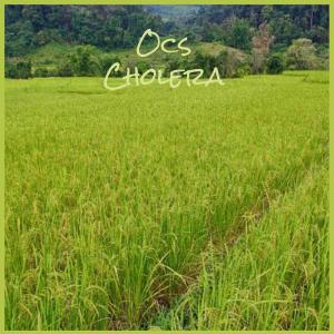 Listen to Lucidity song with lyrics from Jonh Ciro