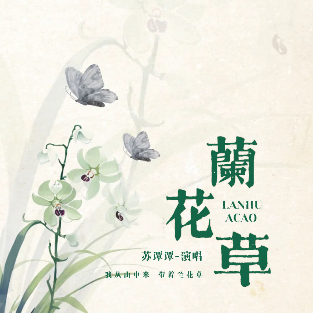 兰花草