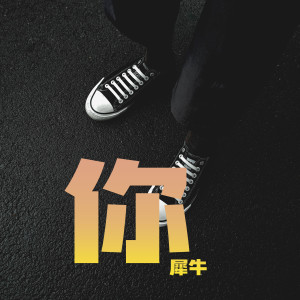 Listen to 你 song with lyrics from 犀牛