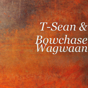 Listen to Wagwaan song with lyrics from T-Sean