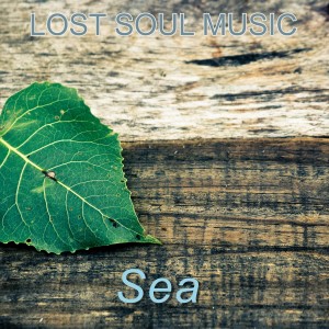 收聽LOST SOUL MUSIC的Sea歌詞歌曲