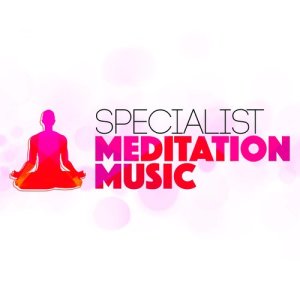 Deep Sleep Specialists的專輯Specialist Meditation Music