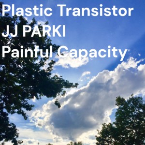 JJ Parki的專輯Painful Capacity
