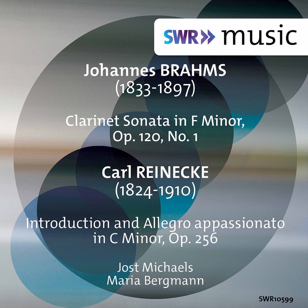 Introduction and Allegro appassionato in C Minor, Op. 256