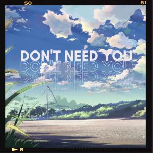 Listen to Don't Need You song with lyrics from Project Skylate