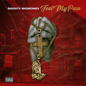 Album Feel My Pain (Explicit) from Siddity Bigmoney