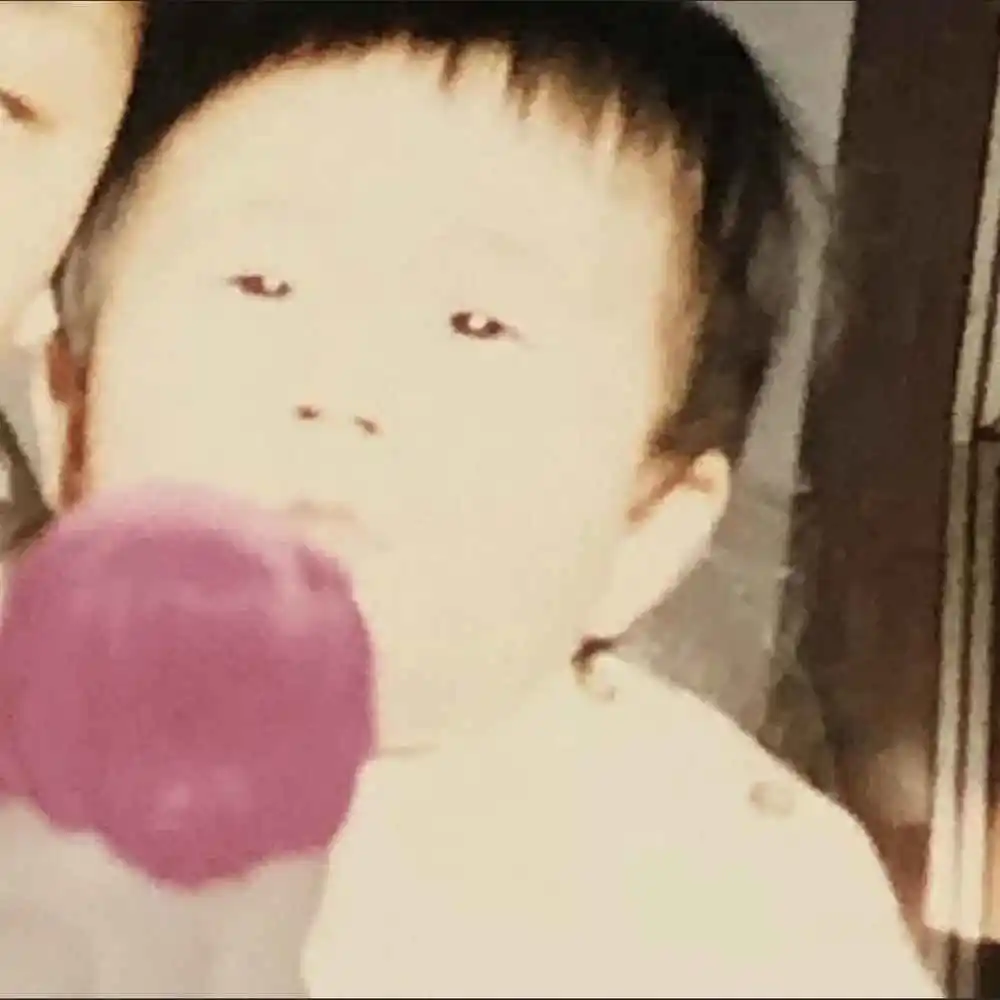 忆冬