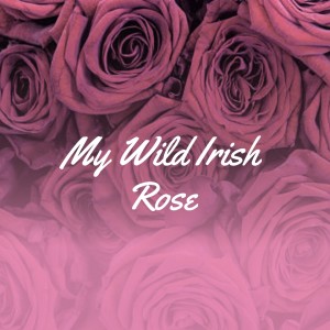 Various Artists的專輯My Wild Irish Rose