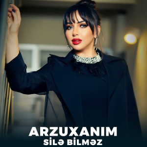 Listen to Silə Bilməz song with lyrics from Arzuxanim