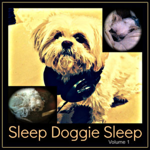 ดาวน์โหลดและฟังเพลง Dogma พร้อมเนื้อเพลงจาก The Sleep Whisperer
