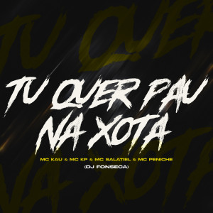 Listen to Tu Quer Pau Na Xota (Explicit) song with lyrics from DJ Fonseca