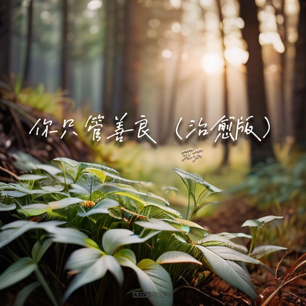 你只管善良 (治愈版伴奏)