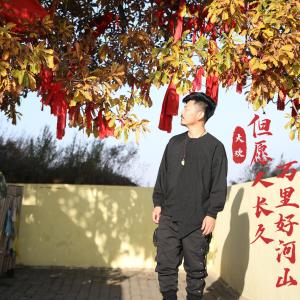 อัลบัม 但愿人长久万里好河山 ศิลปิน 大欢