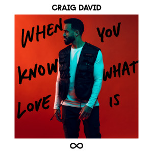 ดาวน์โหลดและฟังเพลง When You Know What Love Is พร้อมเนื้อเพลงจาก Craig David