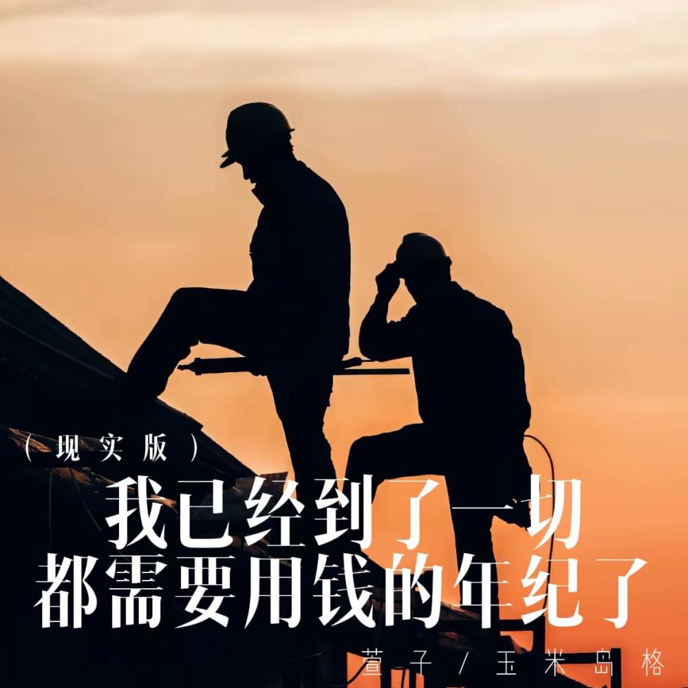 我已经到了一切都需要用钱的年纪了 (现实版)