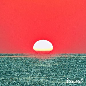 Listen to Before the Dawn song with lyrics from Seeweed
