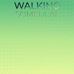 Various Artists的專輯Walking Somedeal