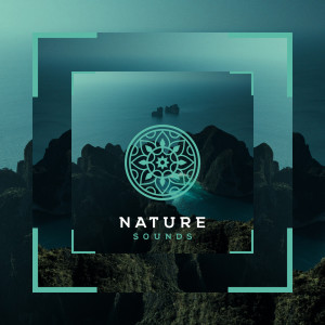 Natuurgeluiden的專輯Stille Wateren