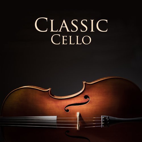 Cello Concerto in A Minor, Op. 22: II. Andante Sostenuto