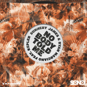 收聽Sunnery James & Ryan Marciano的Nobody Told Me (Extended Mix)歌詞歌曲