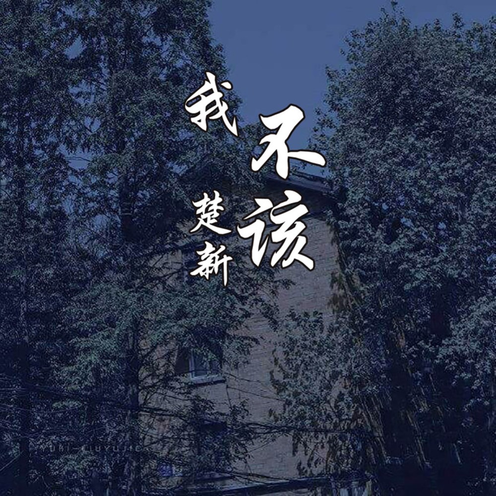 我不該