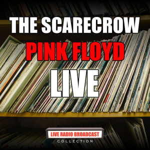 ดาวน์โหลดและฟังเพลง Green Onions (Live) พร้อมเนื้อเพลงจาก Pink Floyd