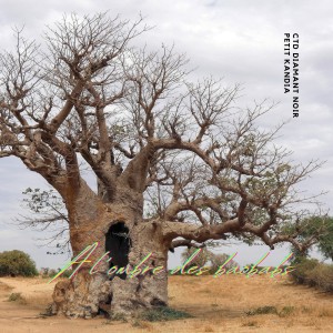 อัลบัม à l'ombre des baobabs ศิลปิน Petit Kandia