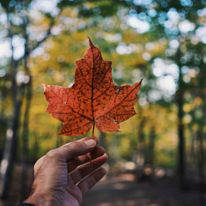 Listen to Enigma song with lyrics from Sleep Sound Library