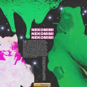 Album Neko 4 Texas (Explicit) from 