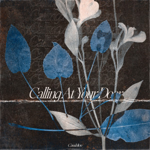 Album Calling at Your Door (Explicit) from Candelion