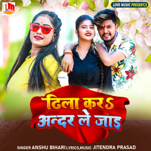 Listen to Dhila Kara Andar Le Jaai song with lyrics from Anshu Bihari