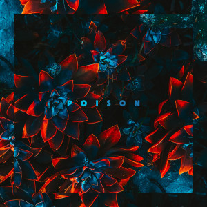 อัลบัม Poison ศิลปิน Karusel