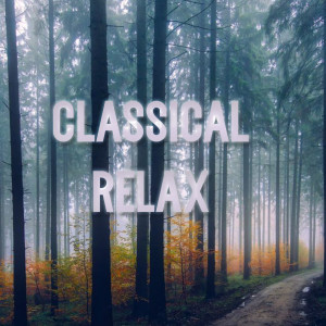 Classical Relax