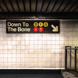 Down To The Bone的專輯Dig It
